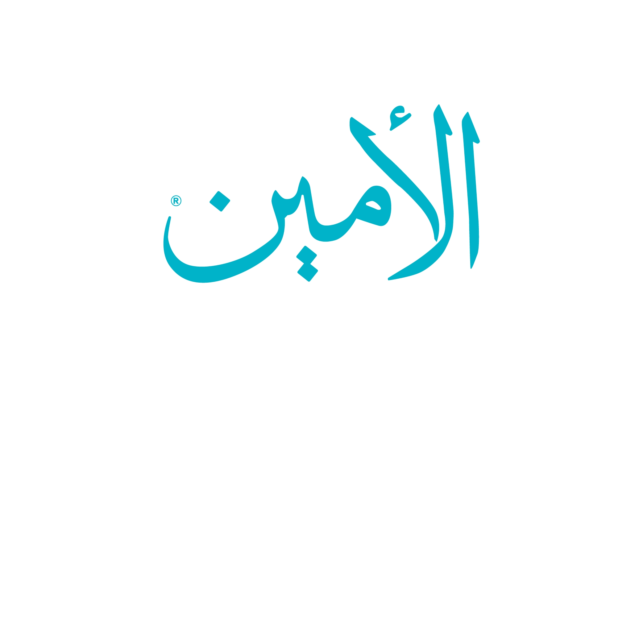 الأمين للمحاسبة والمستودعات