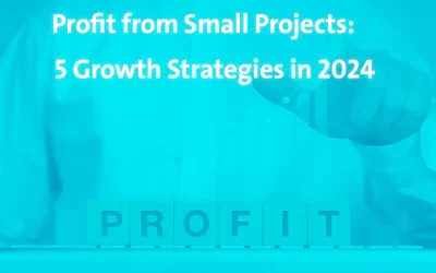 Profit from Small Projects: 5 Growth Strategies in 2024